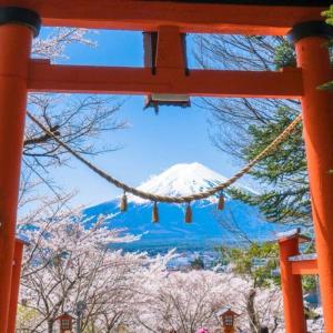 東京富士山一日遊| 淺間金鳥居大門&忍野八海&日川時計店&河口湖大石公園&河口湖| 多語言導覽| 1人成團