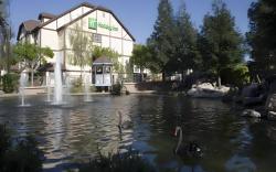 Holiday Inn Selma - Swancourt By IHG