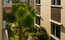Cipto Apartment