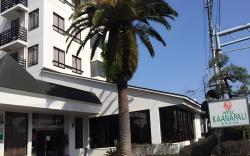 Hotel Kaanapali