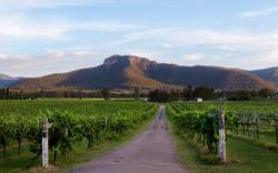Nightingale Wines Luxury Villas