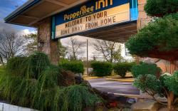 Pepper Tree Inn
