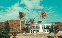 Shark Bed and Breakfast