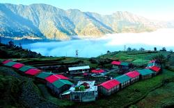 Bamboo Junction Resort