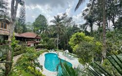 Tranquil Blusalz Rural