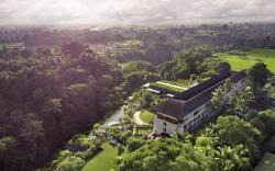 The Westin Resort & Spa Ubud, Bali