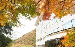 Izu Shuzenji Onsen Hotel Takitei