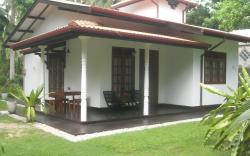Bird Villa