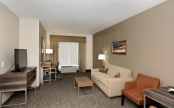Holiday Inn St. George Convention Center By IHG