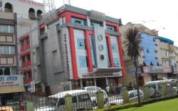 Hotel Preethi Palace