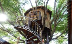 Tree House in the City-Relax and Quite