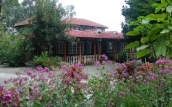 Lilly's Valley Resort