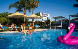 The Cubana Ballina