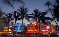 Kimpton Hotel Palomar South Beach By IHG