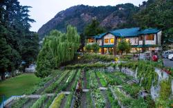 Hotel Shervani Hilltop