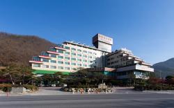 Danyang tourist hotel Edelweiss