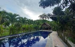 Palm Green Homestay