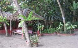 NEWLY RENOVATED!!! Felipa Beach - Bird of Paradise