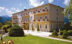 Hotel Alpina