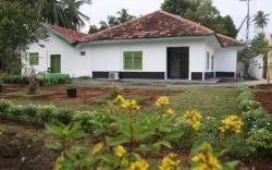 Green Banana Mirissa Hotel