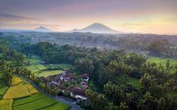 Dedary Resort & Spa Ubud by Ini Vie Hospitality