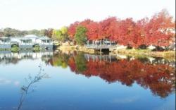 Capital Country Holiday Park