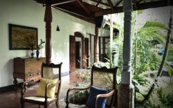 The Fern Cove Villa