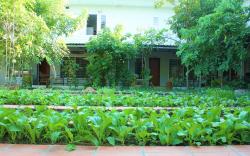 My Parents Guesthouse