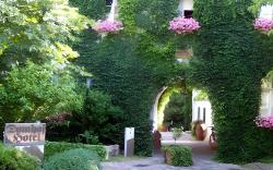 Hotel Domhof