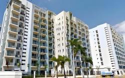 Favila Condotel - Palm Tree Two  daily rate.