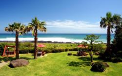 Jeju Oldman Sea Pension