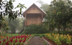 Baan Tonrak