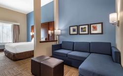 Comfort Suites