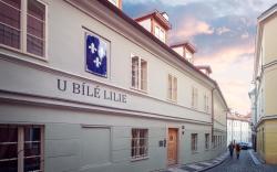 U Bile Lilie