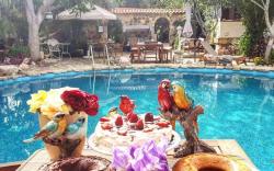 Kemerbag 29 Guest House - Adult Only