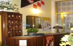 Hotel Stella Del Mare