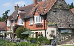 Dog House by Chef & Brewer Collection