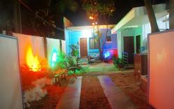 PEDZ CING MANGO LODGE