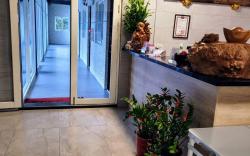 三仙台大閘蟹民宿