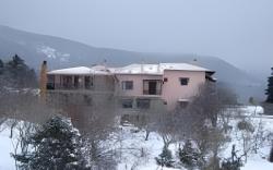 Boutique Hotel Skamnos Arachova