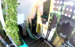 Bunkyard Backpackers Hostel