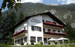 Pension & Apartments Waldkrieber