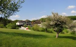 Wienerwaldhof Rieger