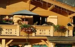 Chalet-Hotel Les Cimes