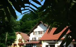 Logis Auberge Du Mehrbachel - Hotel & Restaurant
