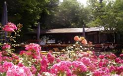 Hotel Bitburg