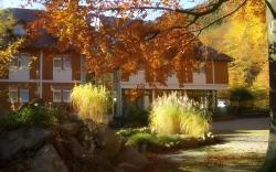 Kurpark Flair Hotel Im Ilsetal