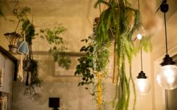 GUEST HOUSE DENCHI
