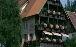 Cafe-Pension Feldbergblick