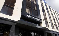 Ashling Hotel Dublin